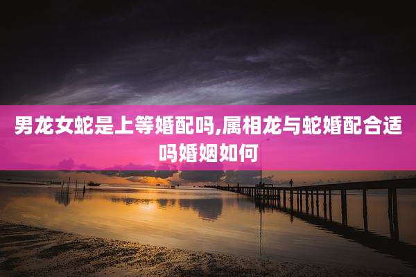 男龙女蛇是上等婚配吗,属相龙与蛇婚配合适吗婚姻如何