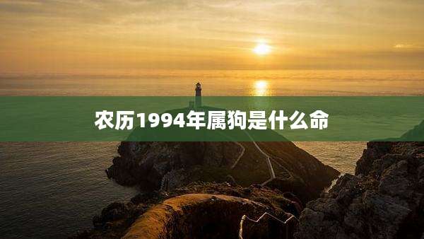 农历1994年属狗是什么命