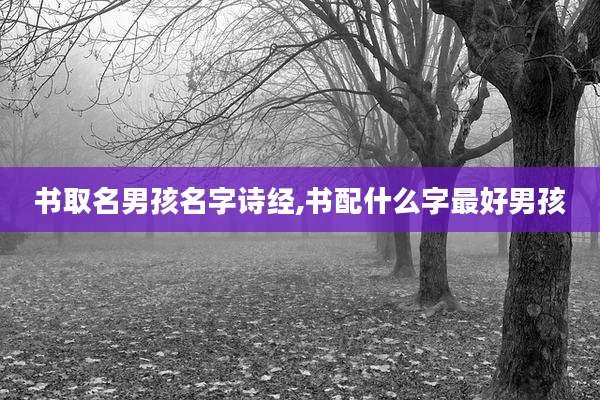 书取名男孩名字诗经,书配什么字最好男孩
