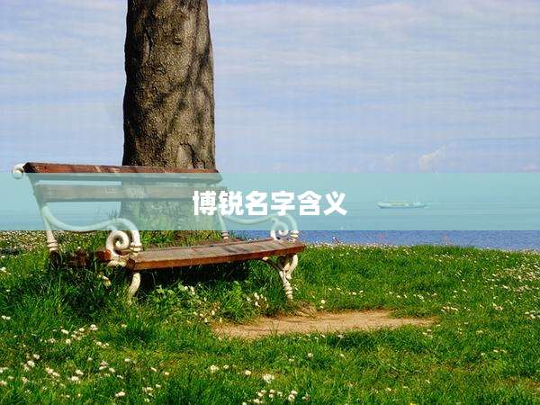 博锐名字含义