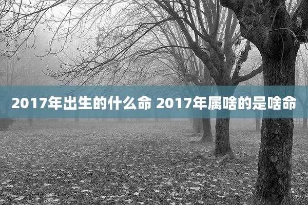 2017年出生的什么命 2017年属啥的是啥命