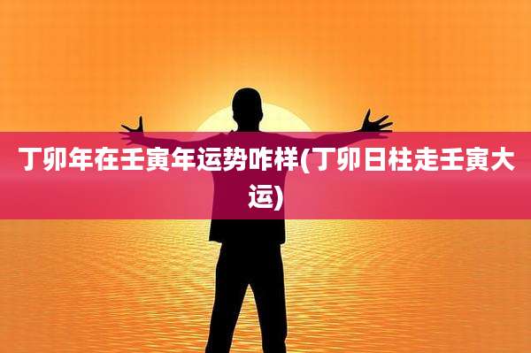 丁卯年在壬寅年运势咋样(丁卯日柱走壬寅大运)