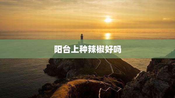 阳台上种辣椒好吗