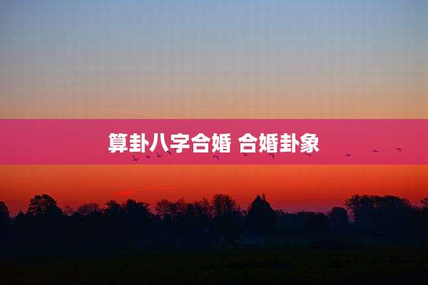 算卦八字合婚 合婚卦象