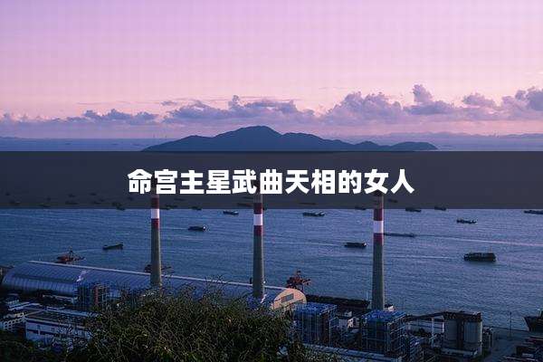 命宫主星武曲天相的女人