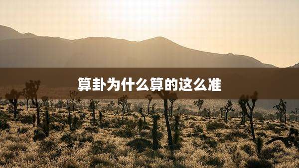 算卦为什么算的这么准