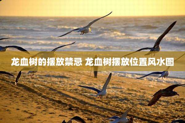 龙血树的摆放禁忌 龙血树摆放位置风水图