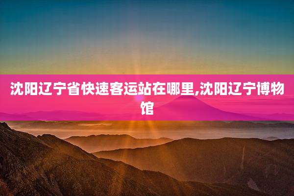 沈阳辽宁省快速客运站在哪里,沈阳辽宁博物馆