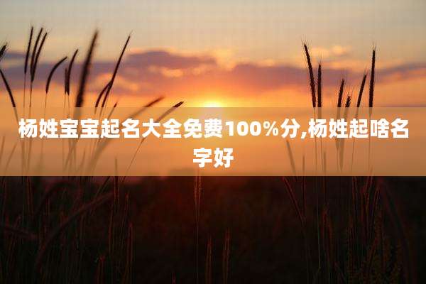 杨姓宝宝起名大全免费100%分,杨姓起啥名字好