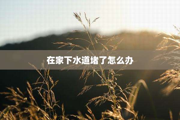 在家下水道堵了怎么办