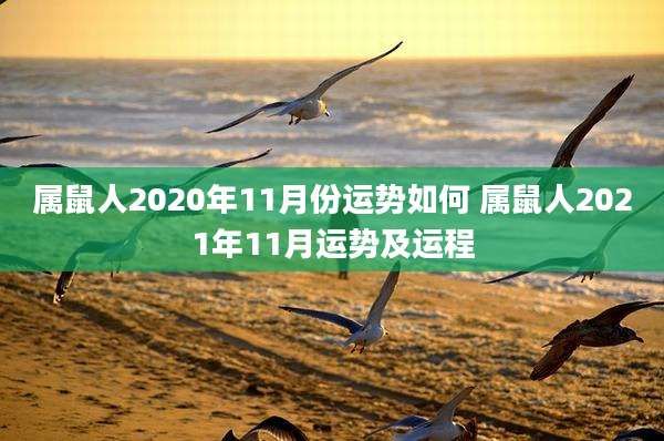 属鼠人2020年11月份运势如何 属鼠人2021年11月运势及运程