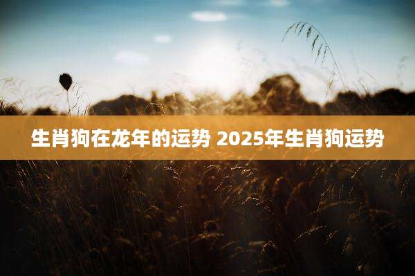 生肖狗在龙年的运势 2025年生肖狗运势