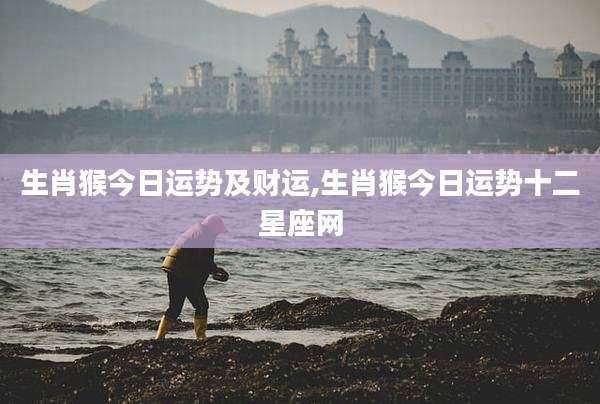 生肖猴今日运势及财运,生肖猴今日运势十二星座网