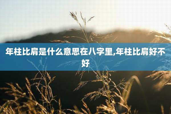 年柱比肩是什么意思在八字里,年柱比肩好不好