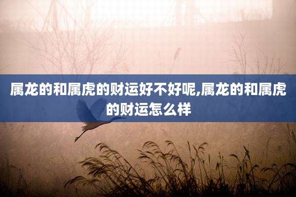 属龙的和属虎的财运好不好呢,属龙的和属虎的财运怎么样