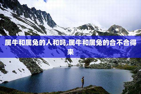 属牛和属兔的人和吗,属牛和属兔的合不合得来