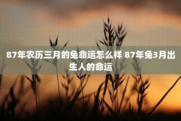 87年农历三月的兔命运怎么样 87年兔3月出生人的命运