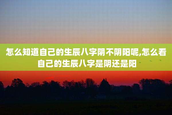 怎么知道自己的生辰八字阴不阴阳呢,怎么看自己的生辰八字是阴还是阳