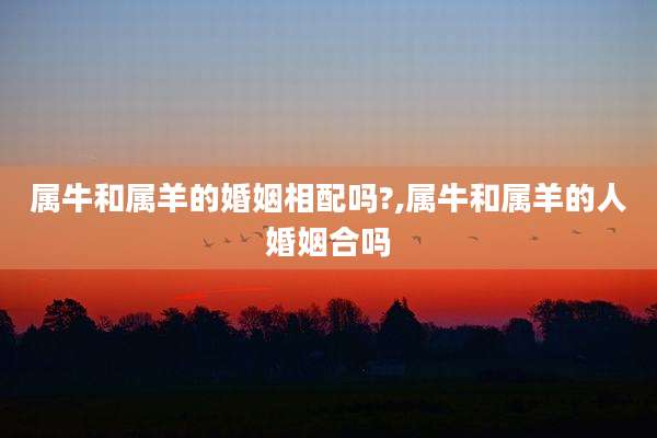 属牛和属羊的婚姻相配吗?,属牛和属羊的人婚姻合吗