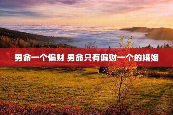 男命一个偏财 男命只有偏财一个的婚姻