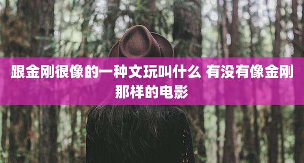跟金刚很像的一种文玩叫什么 有没有像金刚那样的电影