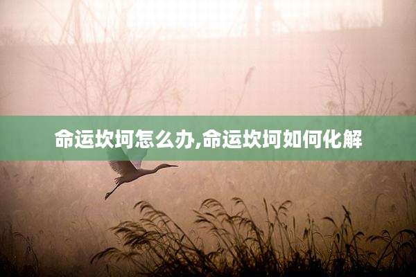 命运坎坷怎么办,命运坎坷如何化解