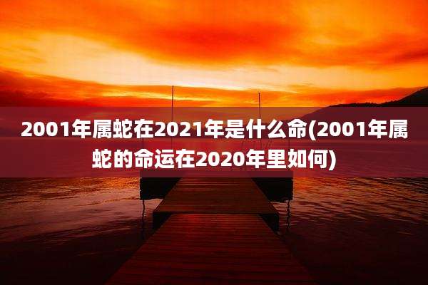 2001年属蛇在2021年是什么命(2001年属蛇的命运在2020年里如何)