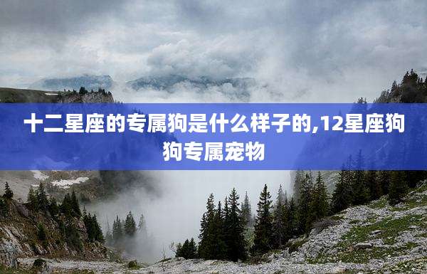 十二星座的专属狗是什么样子的,12星座狗狗专属宠物