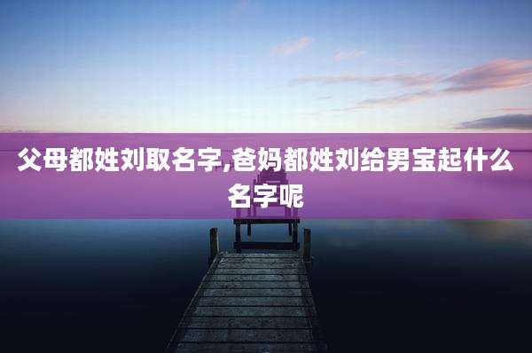 父母都姓刘取名字,爸妈都姓刘给男宝起什么名字呢