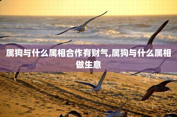 属狗与什么属相合作有财气,属狗与什么属相做生意