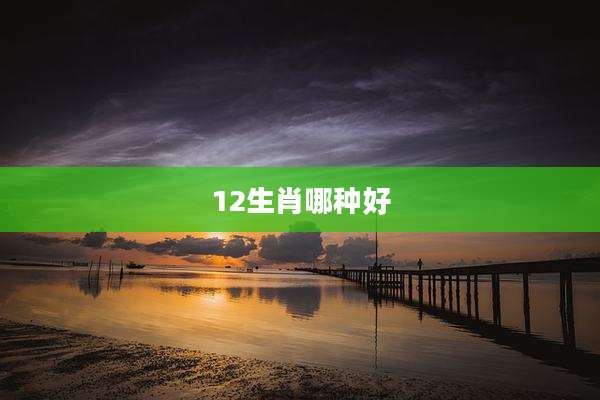 12生肖哪种好