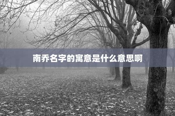 南乔名字的寓意是什么意思啊