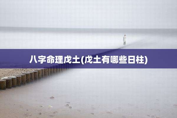 八字命理戊土(戊土有哪些日柱)