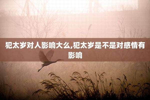 犯太岁对人影响大么,犯太岁是不是对感情有影响