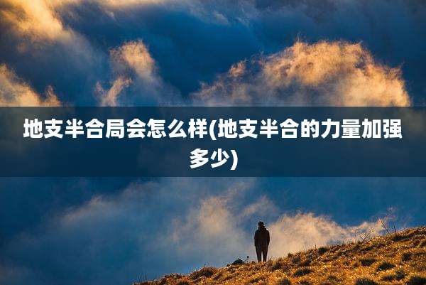 地支半合局会怎么样(地支半合的力量加强多少)
