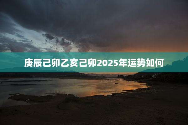 庚辰己卯乙亥己卯2025年运势如何