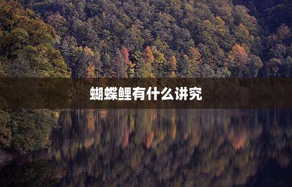 蝴蝶鲤有什么讲究