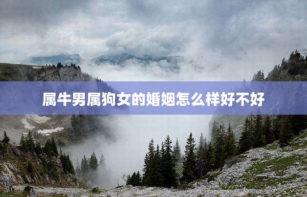 属牛男属狗女的婚姻怎么样好不好