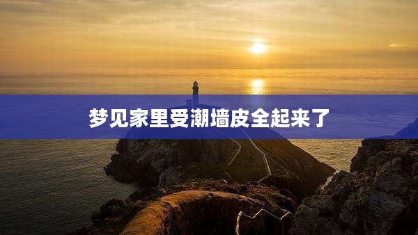 梦见家里受潮墙皮全起来了