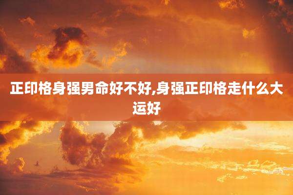 正印格身强男命好不好,身强正印格走什么大运好
