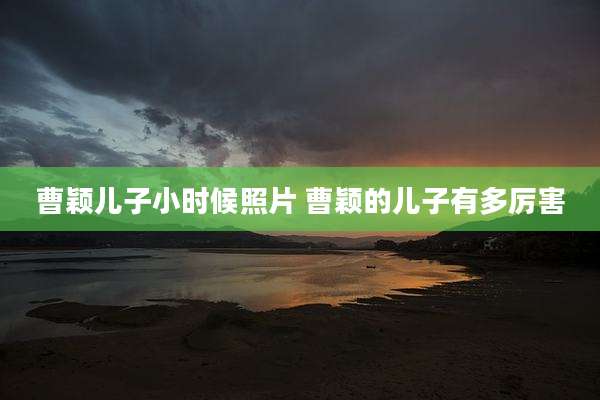 曹颖儿子小时候照片 曹颖的儿子有多厉害