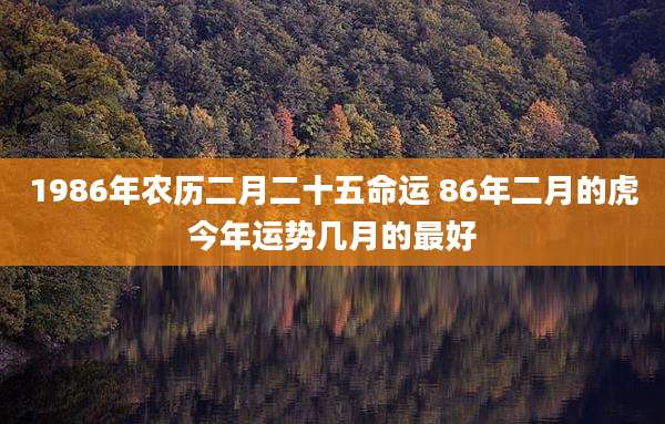 1986年农历二月二十五命运 86年二月的虎今年运势几月的最好