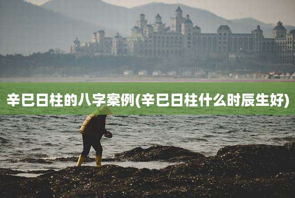 辛巳日柱的八字案例(辛巳日柱什么时辰生好)