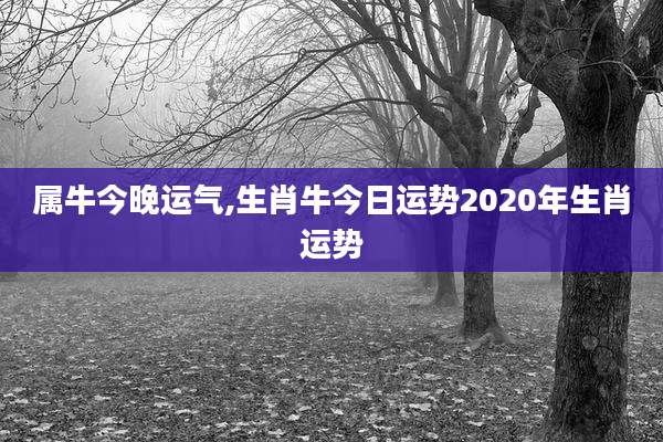 属牛今晚运气,生肖牛今日运势2020年生肖运势