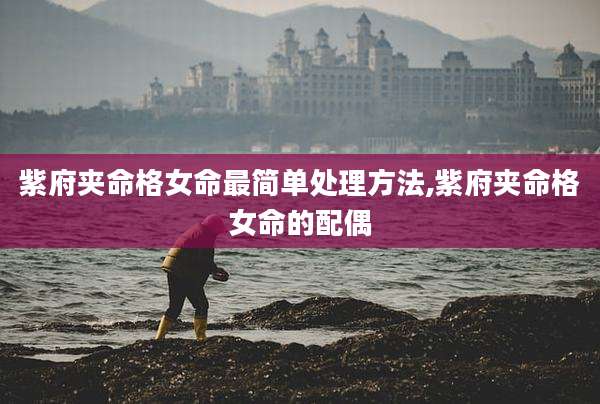 紫府夹命格女命最简单处理方法,紫府夹命格女命的配偶