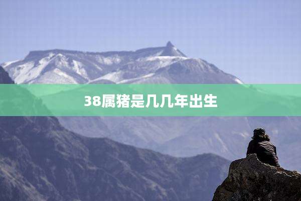 38属猪是几几年出生