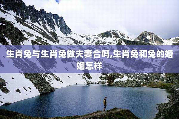 生肖兔与生肖兔做夫妻合吗,生肖兔和兔的婚姻怎样