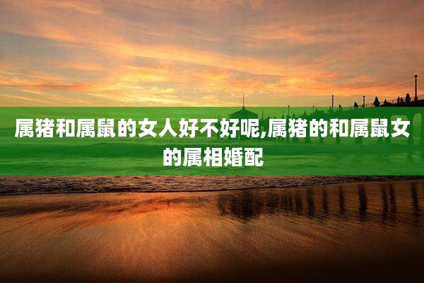 属猪和属鼠的女人好不好呢,属猪的和属鼠女的属相婚配