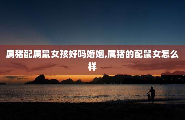 属猪配属鼠女孩好吗婚姻,属猪的配鼠女怎么样
