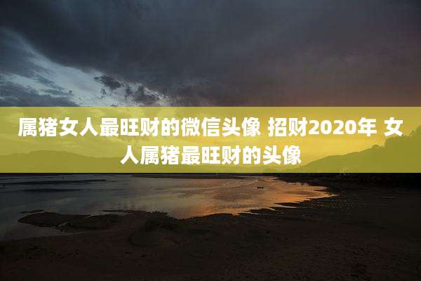属猪女人最旺财的微信头像 招财2020年 女人属猪最旺财的头像